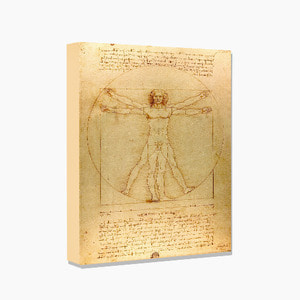 Leonardo da Vinci,레오나르도 다빈치 (비트루비안 맨)