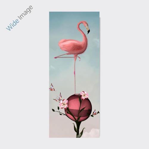Flamingo, (플라밍고) - 와이드