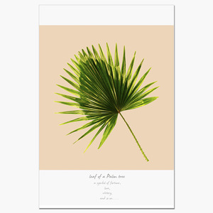 Palm Tree (야자수 잎)