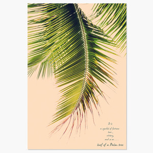 Palm Tree (야자수 잎)