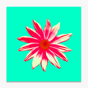 Flower (꽃-04)