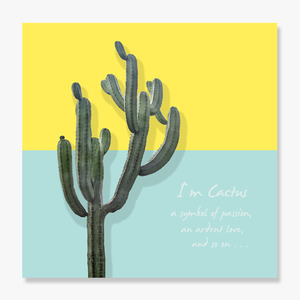 Cactus (선인장-01)