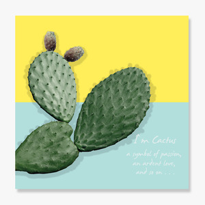 Cactus (선인장-02)