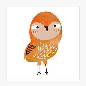 Owl (오렌지 부엉이)