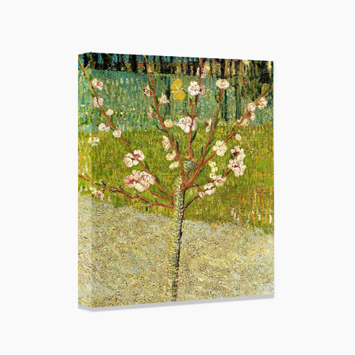 Vincent van Gogh, 반 고흐 (꽃 핀 복숭아 나무-2)