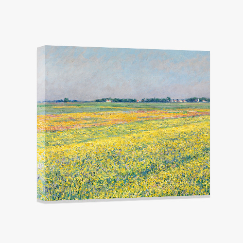 Gustave Caillebotte, 구스타브 카유보트 (쥬느빌리에의 평원 노란 꽃무리)