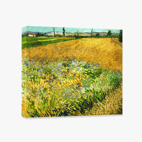 Vincent van Gogh, 반 고흐 (밀밭-01)