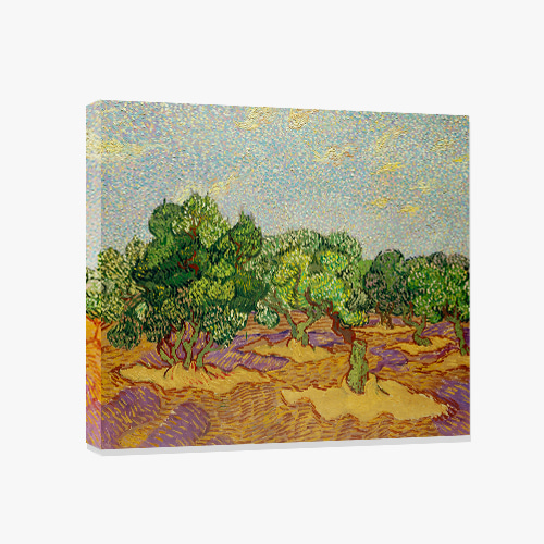 Vincent van Gogh, 반 고흐 (올리브 나무-1)