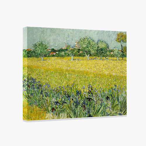 Vincent van Gogh, 반 고흐 (아를 근처의 꽃이핀 들판)