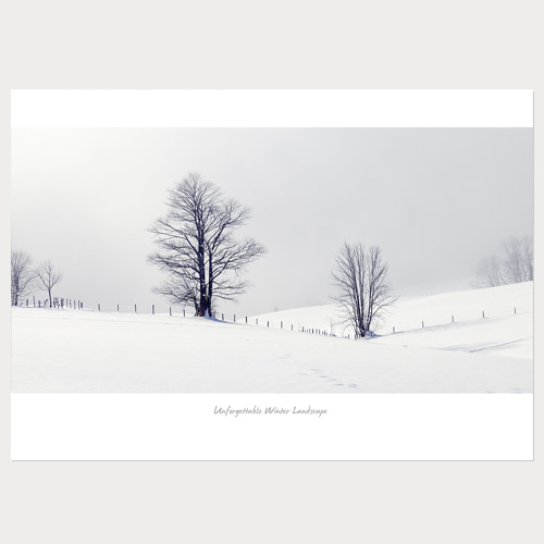 Winter Tree (겨울나무-01)