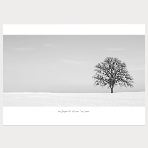 Winter Tree (겨울나무-02)