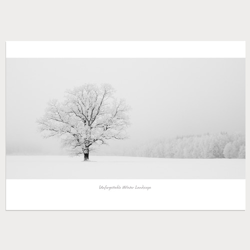 Winter Tree (겨울나무-03)