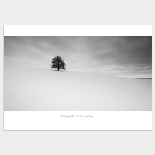 Winter Tree (겨울나무-05)