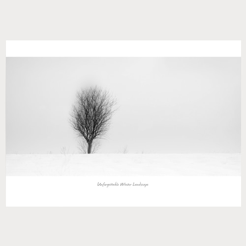 Winter Tree (겨울나무-06)