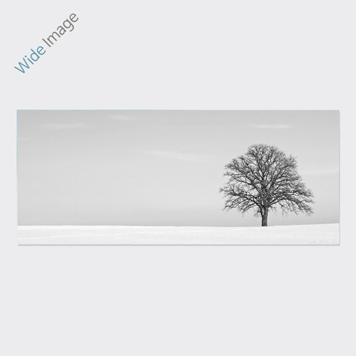 Winter Tree (겨울나무-01) - 와이드