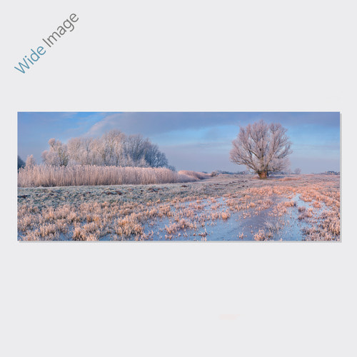A wintry landscape (겨울풍경) - 와이드