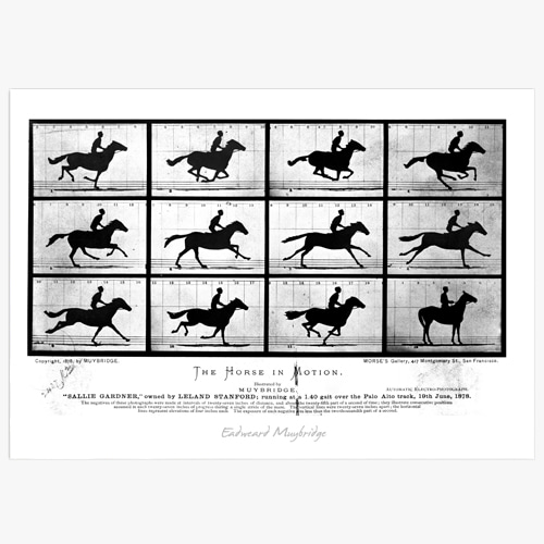 Eadweard Muybridge,(마이브리지의 The Horse in Motion) 