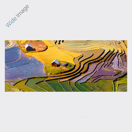 Beautiful terraced rice field, (아름다운 계단식 논-01) - 와이드
