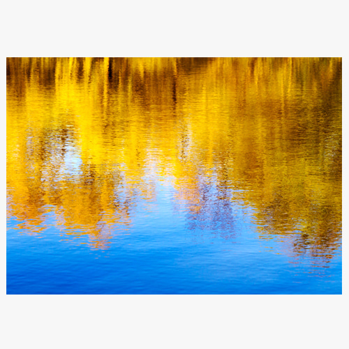 Reflecting yellow and blue trees, (물에 비친 나무-01)