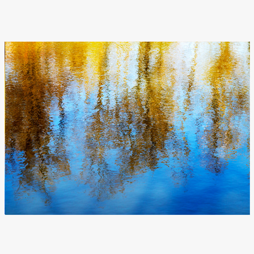 Reflecting yellow and blue trees, (물에 비친 나무-02)
