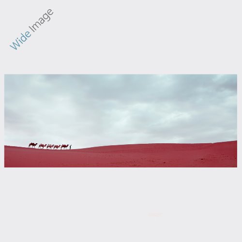 Gobi Desert (고비사막-02) - 와이드