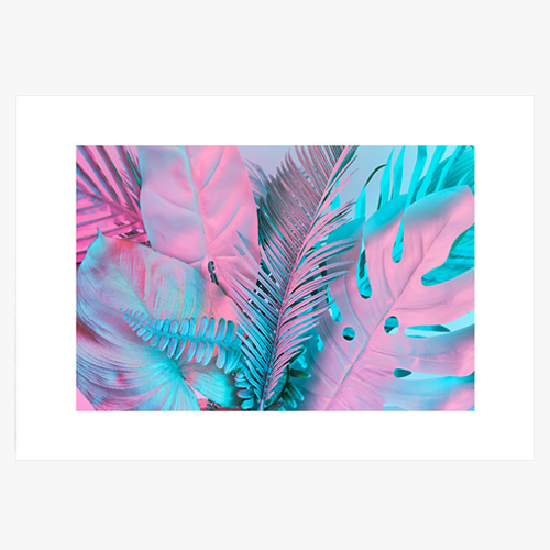 Tropical Palm Leaves (트로피컬 야자수 잎들-02)